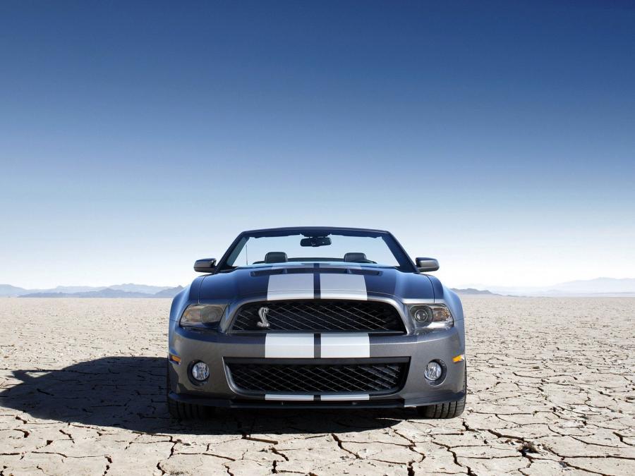  Shelby GT500 Convertible SVT 2009 года  (фото 10 из 12)